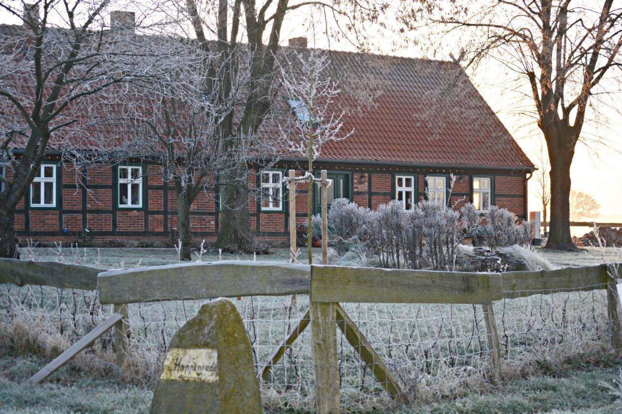 Pension Up'N Doerp Plattenburg Eksteriør billede